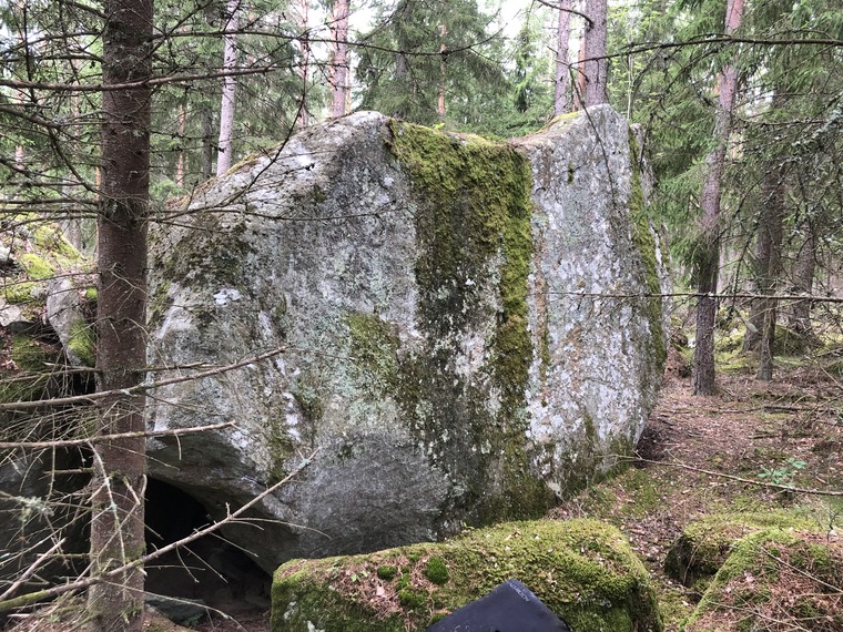 Sektor B Snårskogen