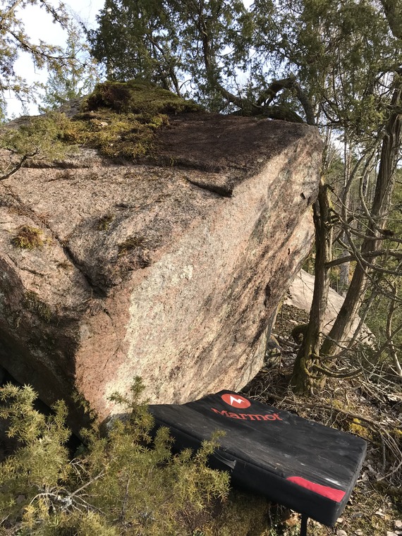 To not distrub the pipí - 1