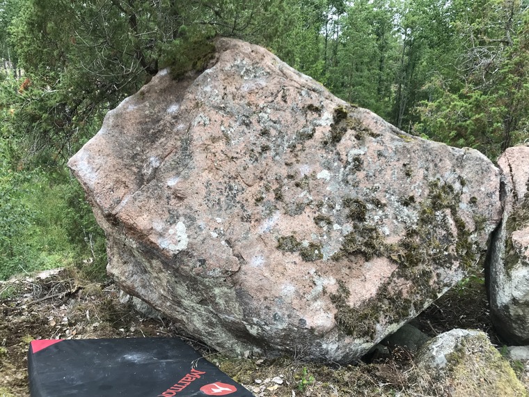 To not distrub the pipí - 1