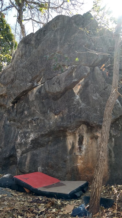 Bloco do sol na cara