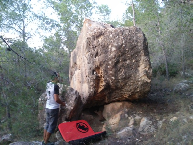 Peke Park -Bloque: laPIÑA
