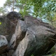 Metsä on palatsi thumbnail