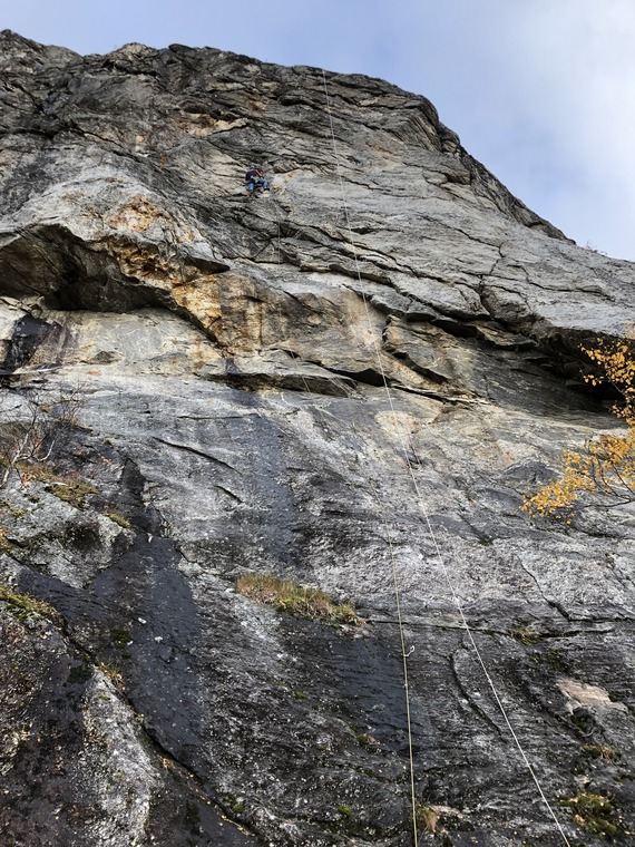 Hakuna matata veggen