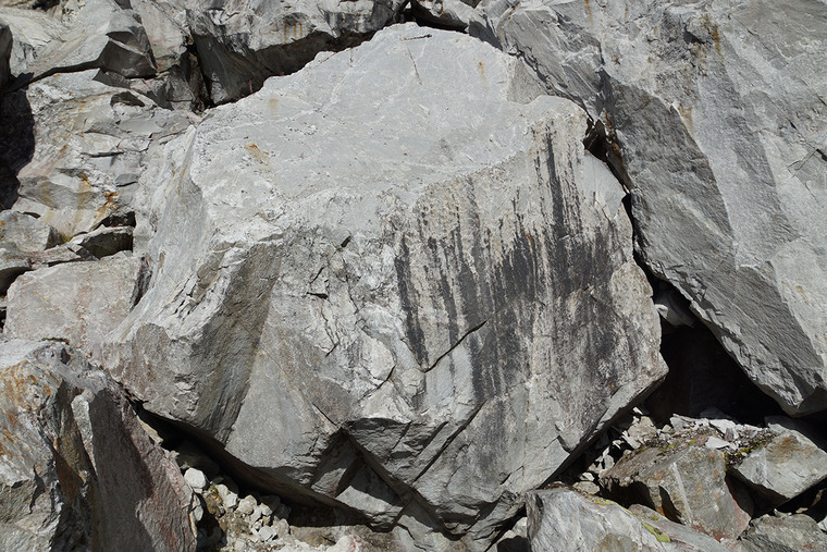 Don't quäl the whale