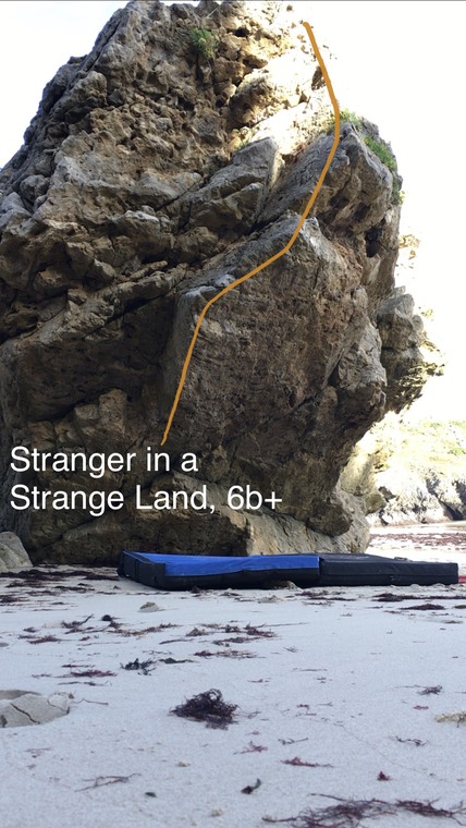 Stranger in a Strange Land