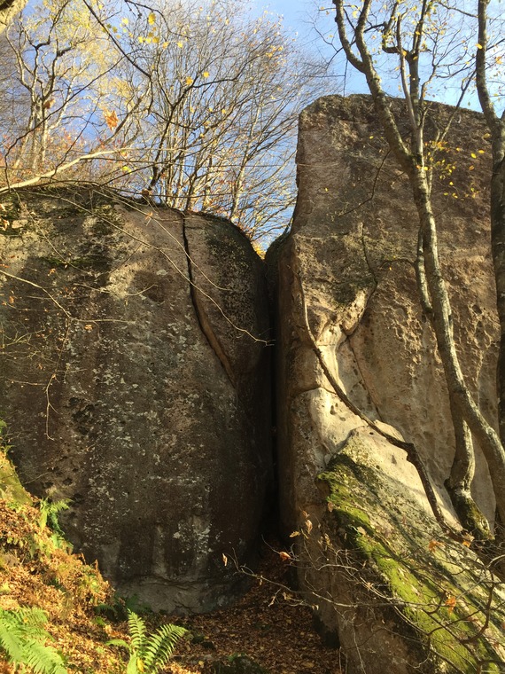 Три медведя