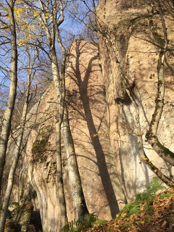 Три медведя