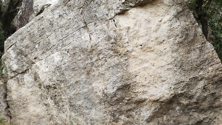 Ermita 1 - esquàlid