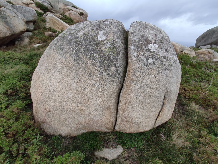 Sector El Camino [III]