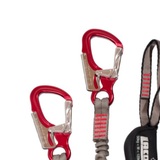 Simon van der Scheer