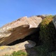 PrimaSort boulder thumbnail
