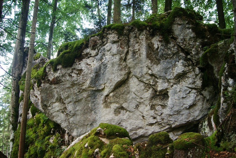 Moonlight (Sektor E)