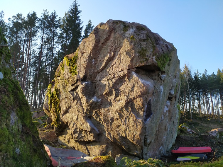 Lilla blocket på hygget