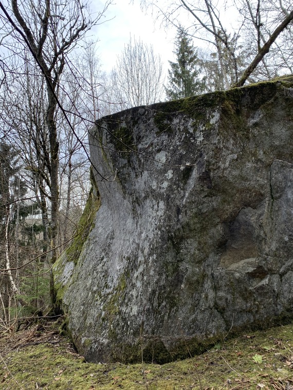 Stor frittstående stein