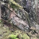 Hengekøya thumbnail