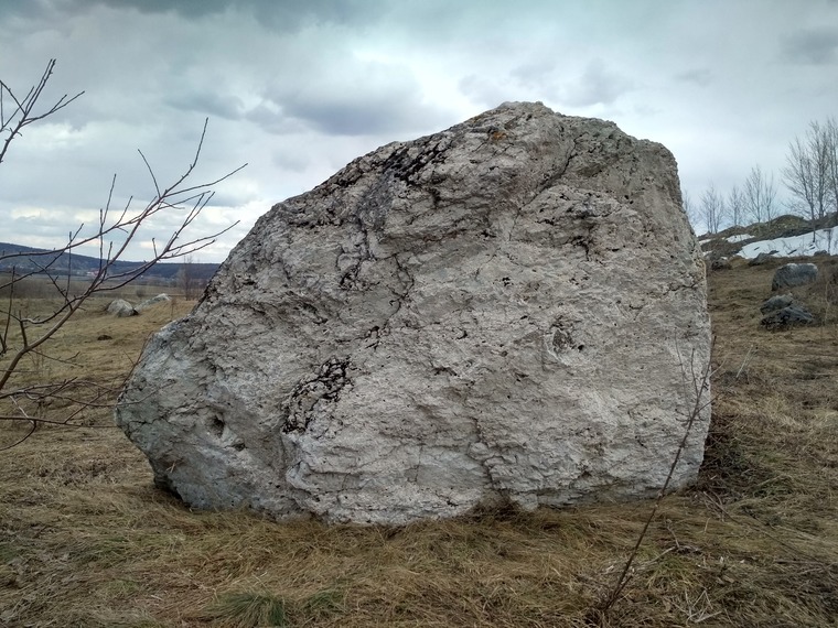 В чистом поле
