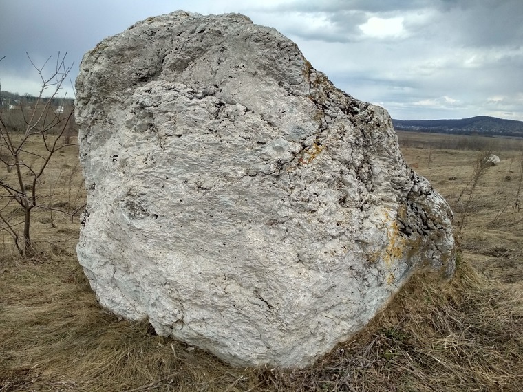 В чистом поле