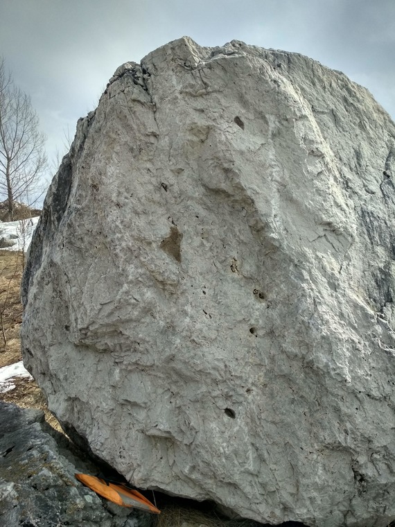 В чистом поле