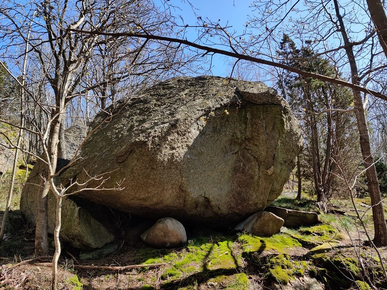 Djungel George blocket