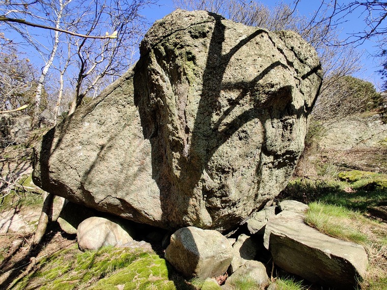 Djungel George blocket