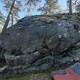 Björn i skogen thumbnail