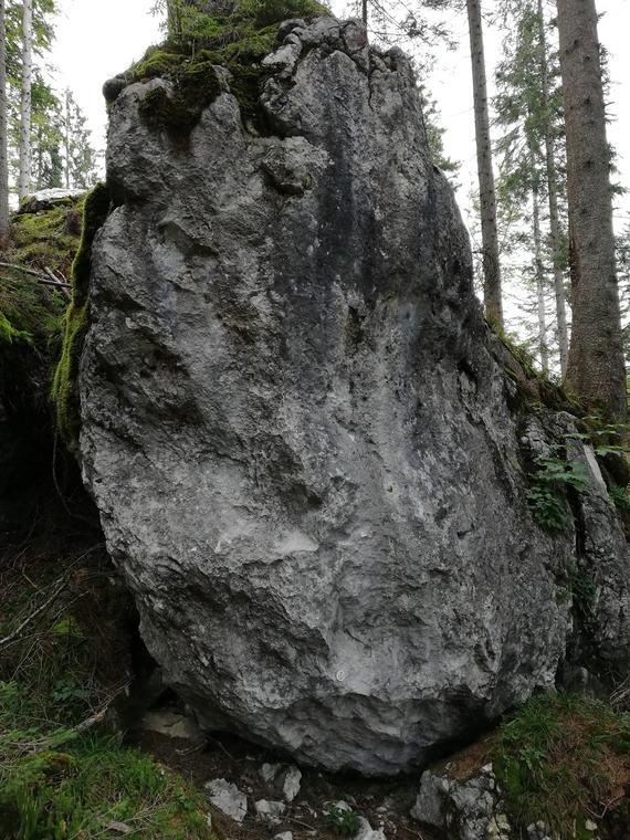 Moonlight (Sektor E)