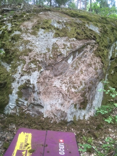 Konditori Fågelsången