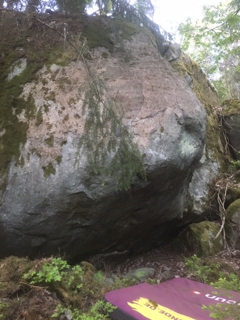 Konditori Fågelsången