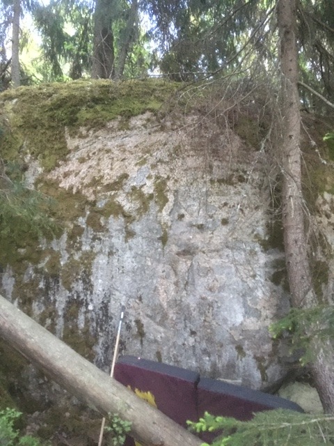 Konditori Fågelsången