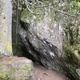 Raptor thumbnail