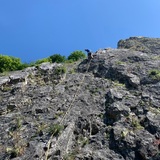 Dimitri Van der Wilt