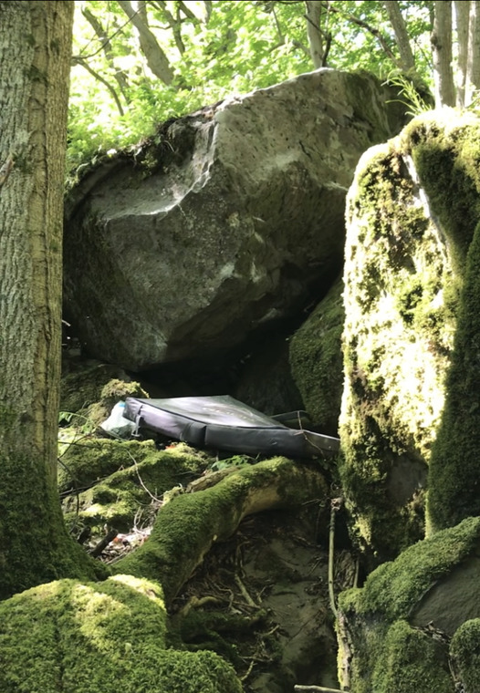 Lengselsfugl-steinen