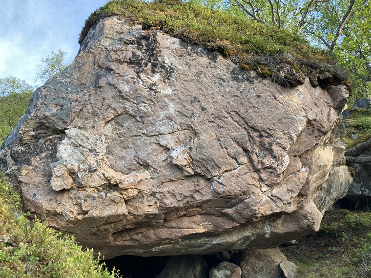 En midsommarnattsdröm