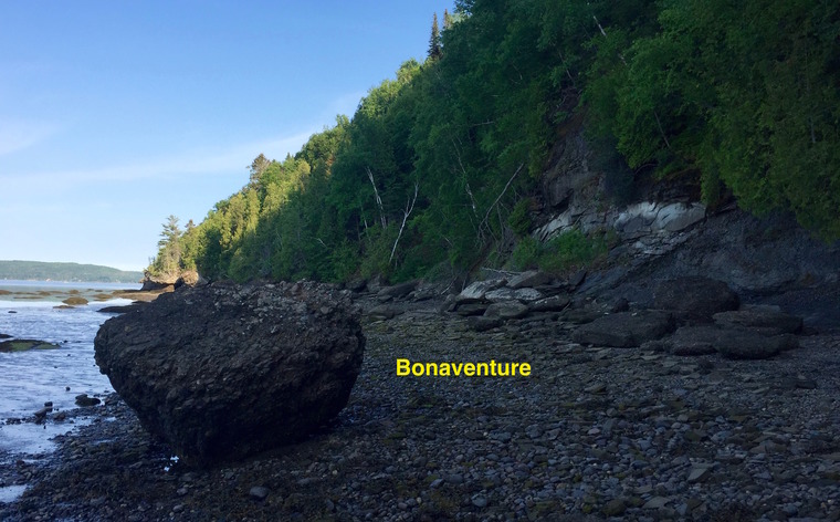 Bonaventure