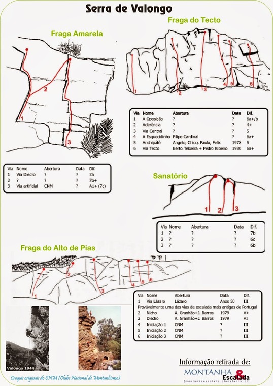 Sector Fraga Amarela