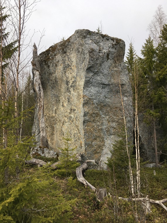 Projektipäällikkö