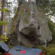 Björnbärskramen thumbnail
