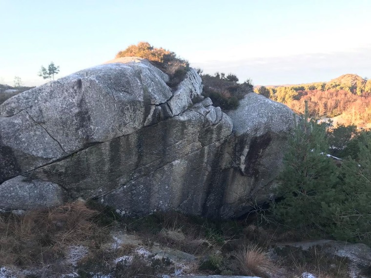 Barbecue sauce-veggen