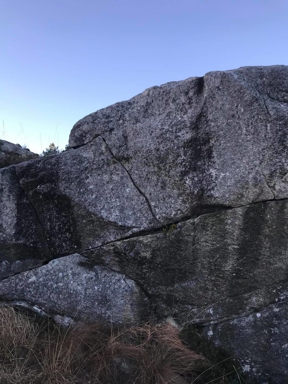 Barbecue sauce-veggen