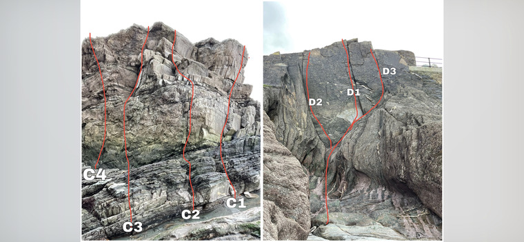 Combe Slapper And Dragnet