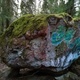 Rock & Moss thumbnail