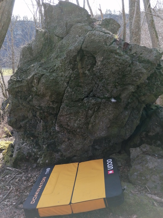 The Stein Of Opportunity