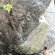 Tarzan thumbnail