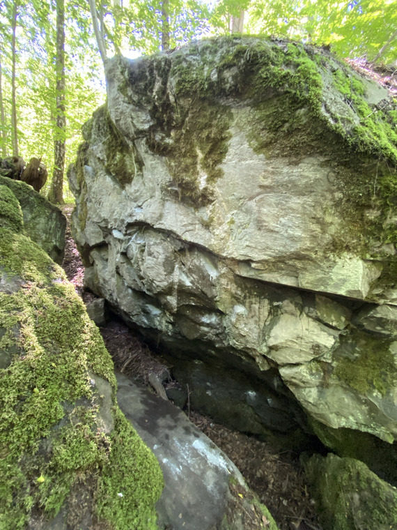 Patros domino Santos