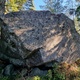 Kex i skogen thumbnail