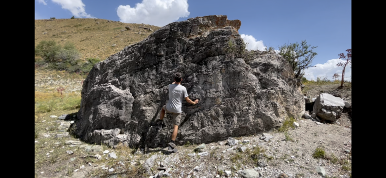 Thanks for the Yoghurt