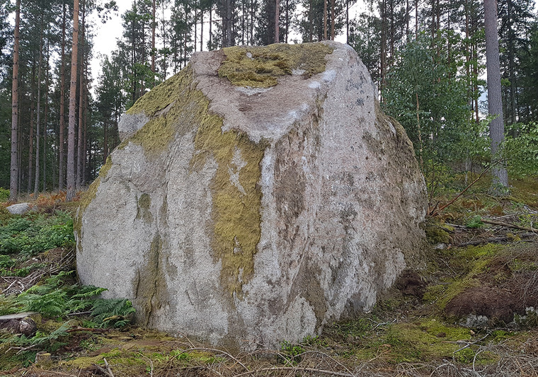 Det växer palmer i Långaström
