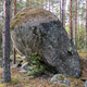 Solsikke thumbnail