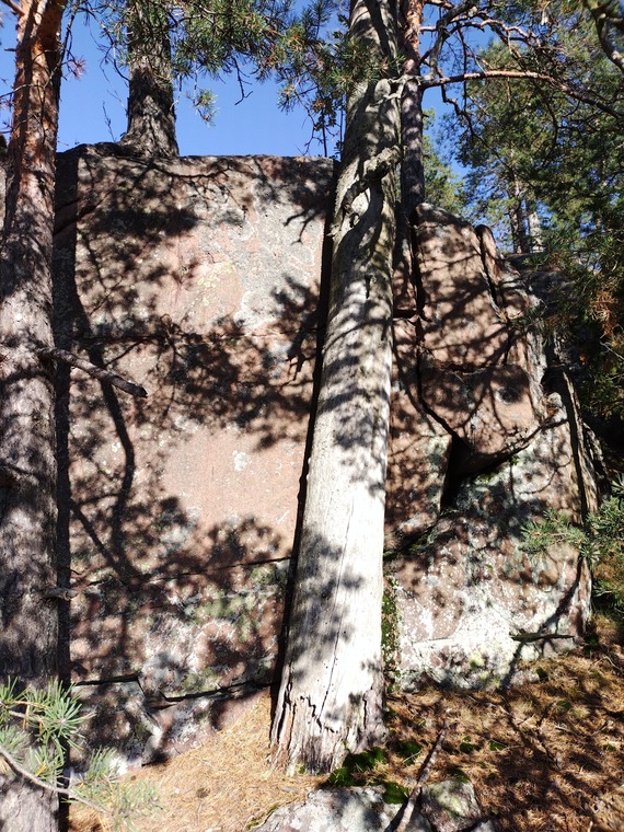Saunalahti training wall