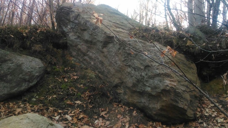 Sassi sparsi (bassi)